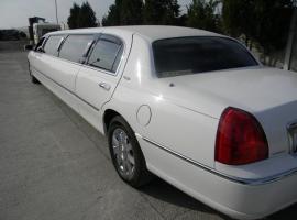 Luxurious limousine in combination with hot stripper, what's better?